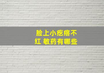 脸上小疙瘩不红 敏药有哪些